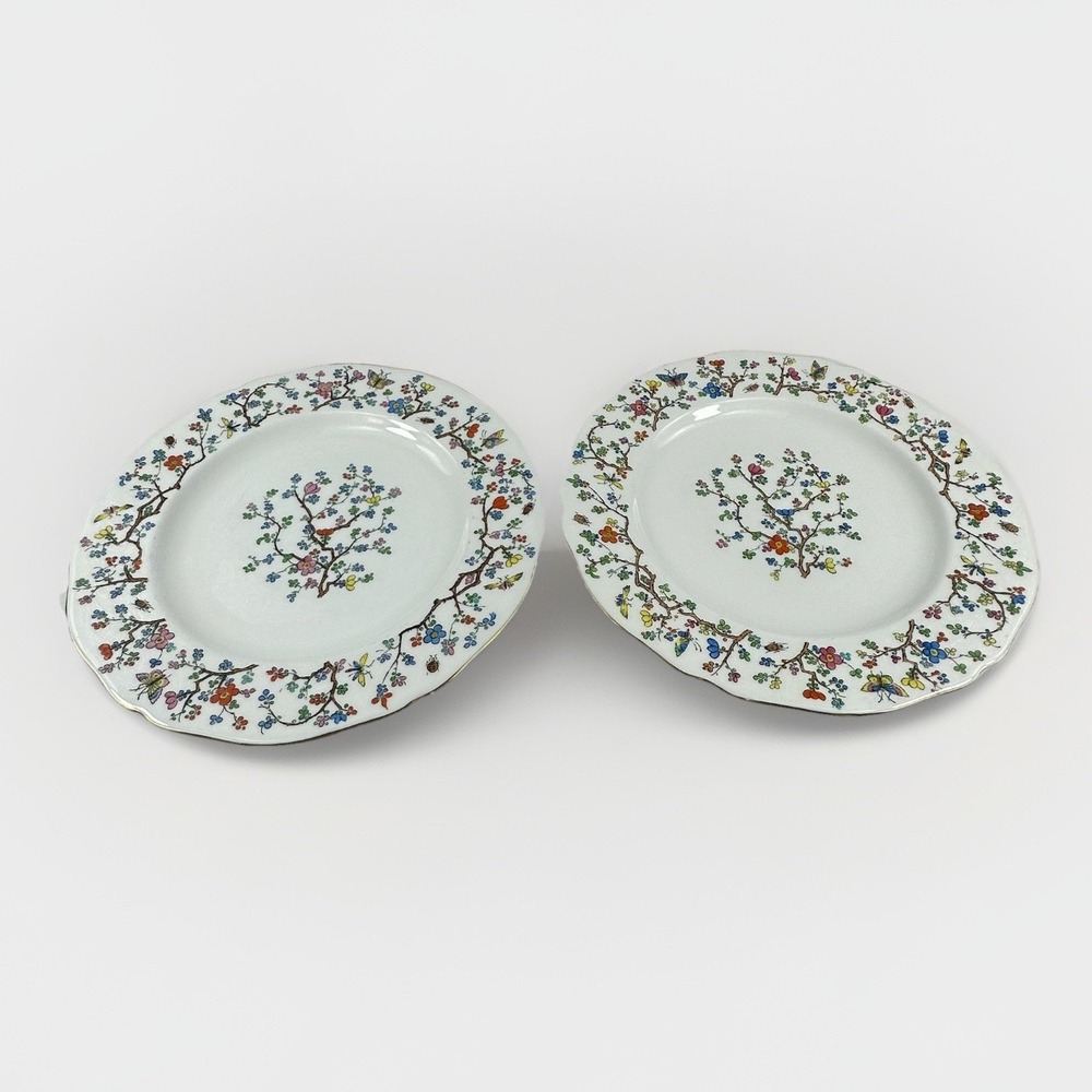 1915 Spode‎ Copeland Plates Pair Pattern R5321 Insects WM H Plummer New York